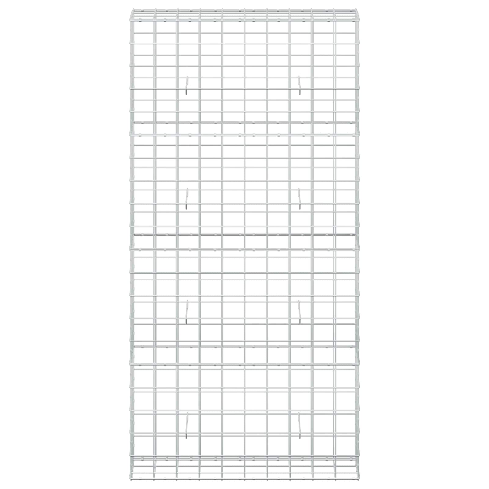 Gabion z žico 5 mm in mrežo 10x10 cm 100x30x200 cm