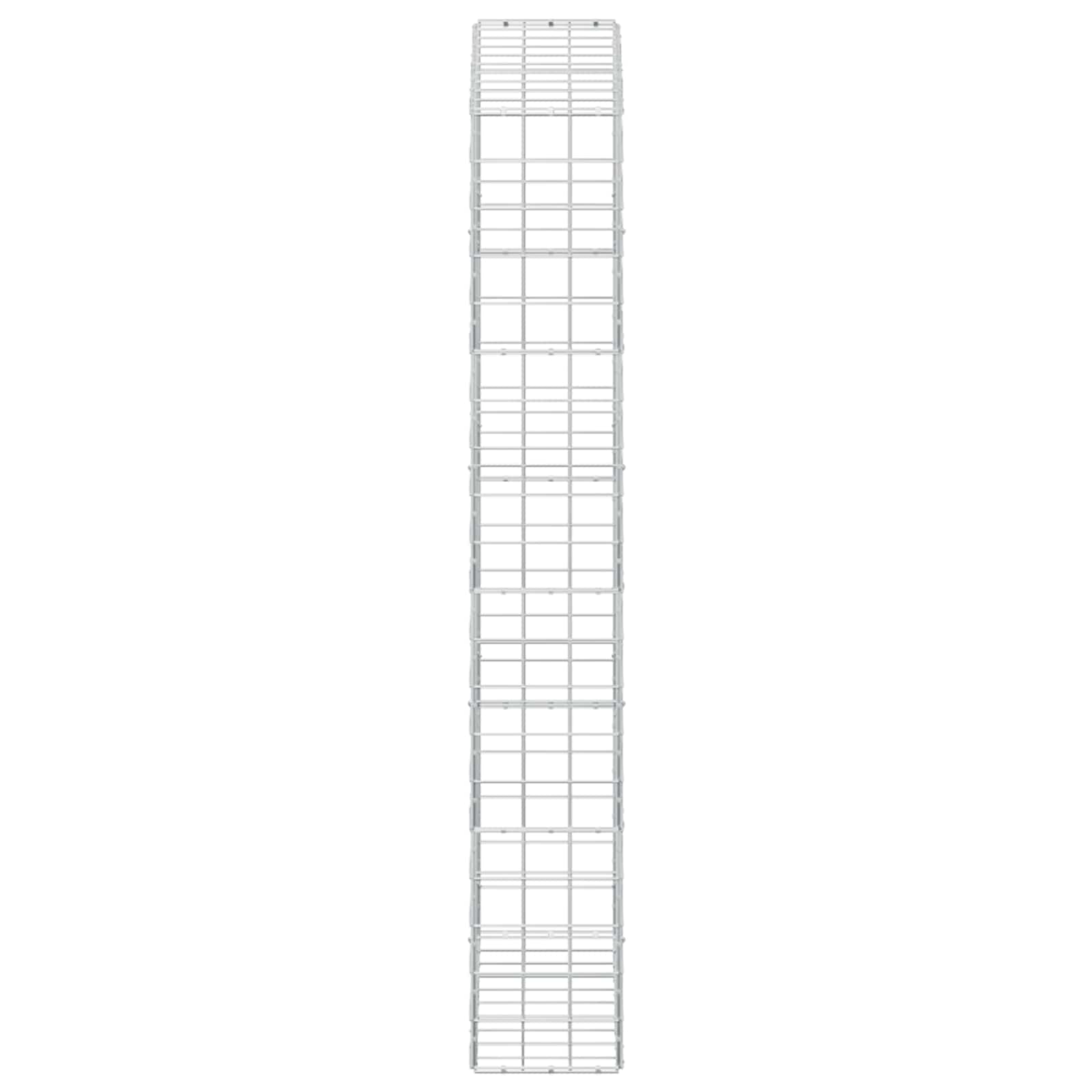 Gabion z žico 5 mm in mrežo 10x10 cm 100x30x200 cm