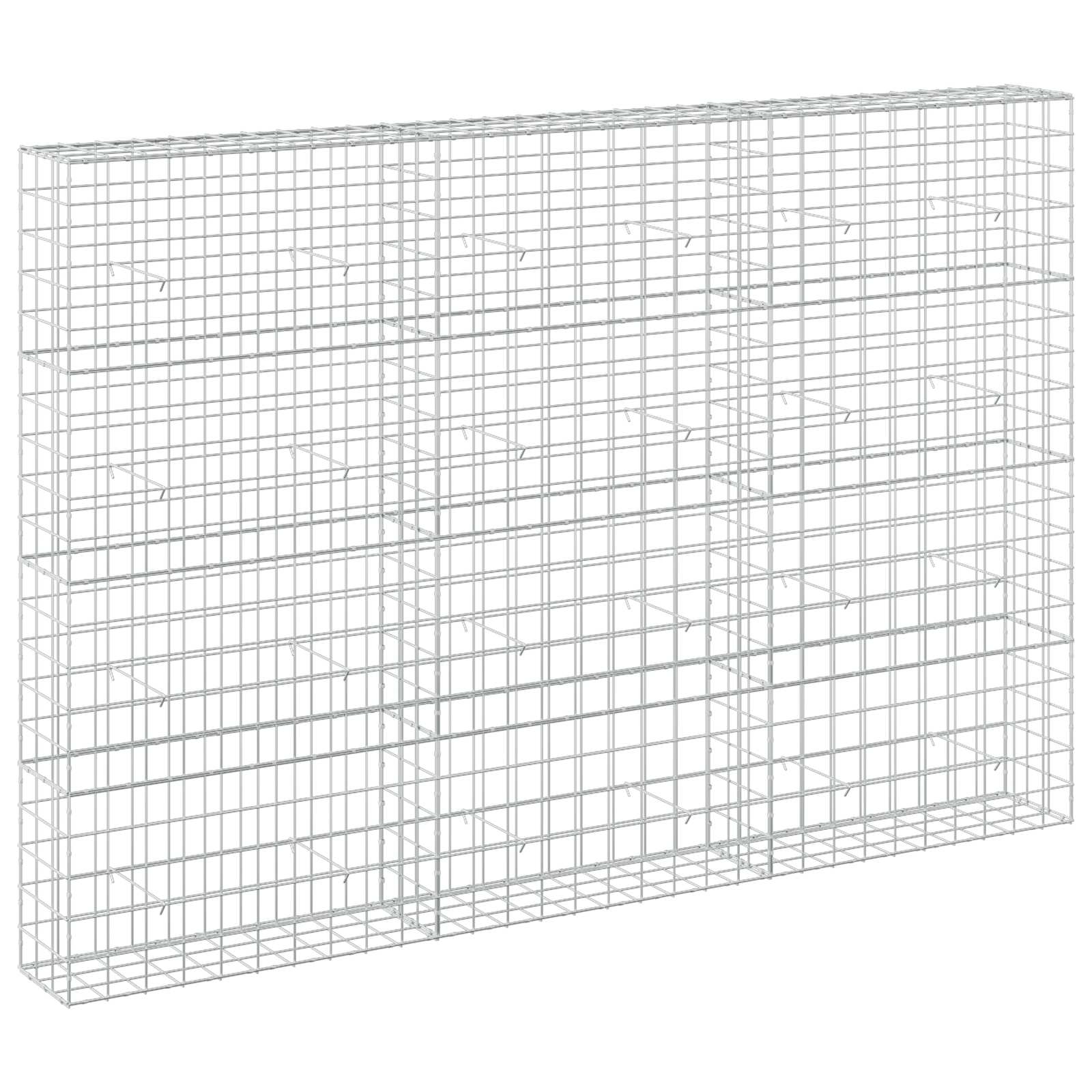 Gabion z žico 5 mm in mrežo 10x10 cm 300x30x200 cm