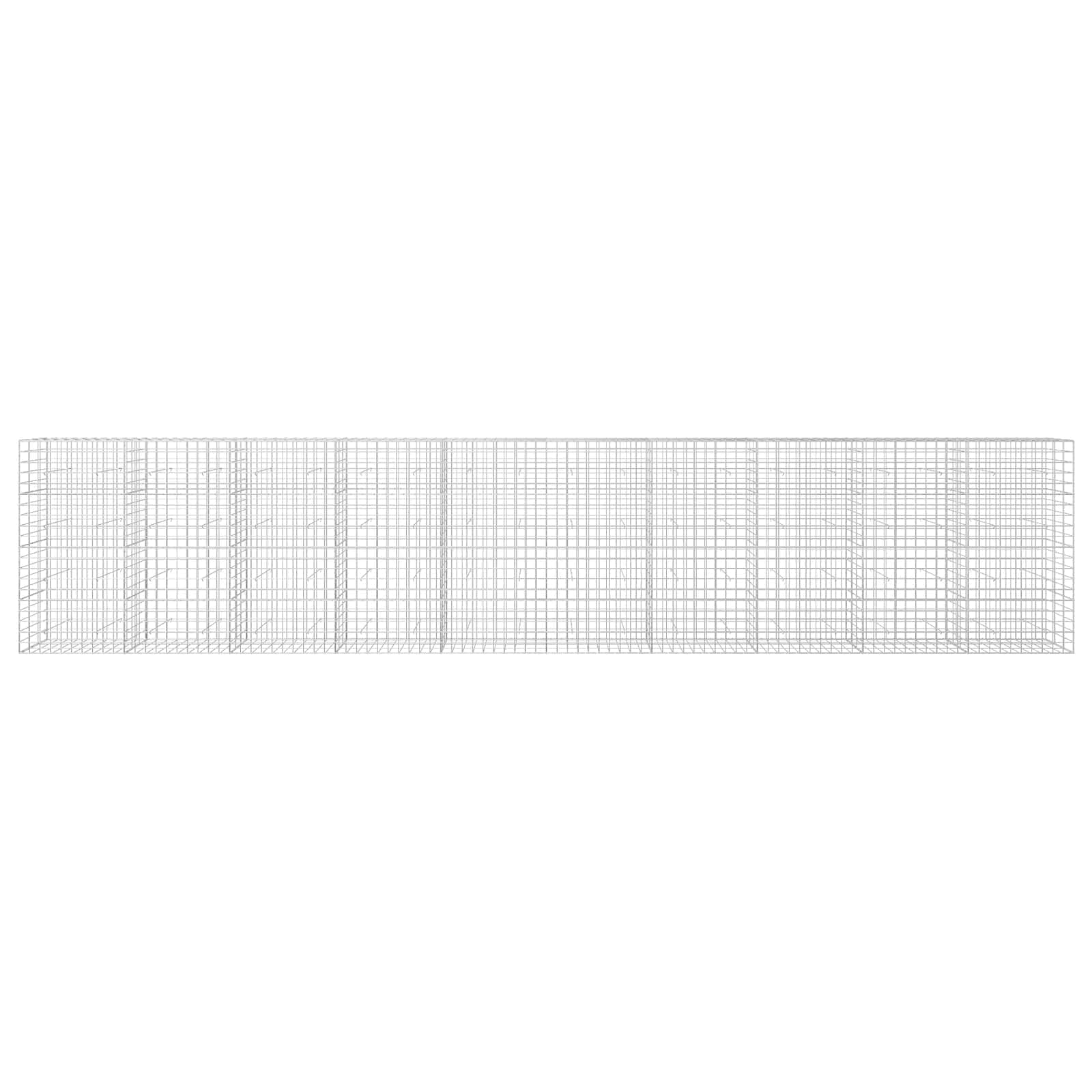 Gabion z žico 5 mm in mrežo 10x10 cm 1000x30x200 cm