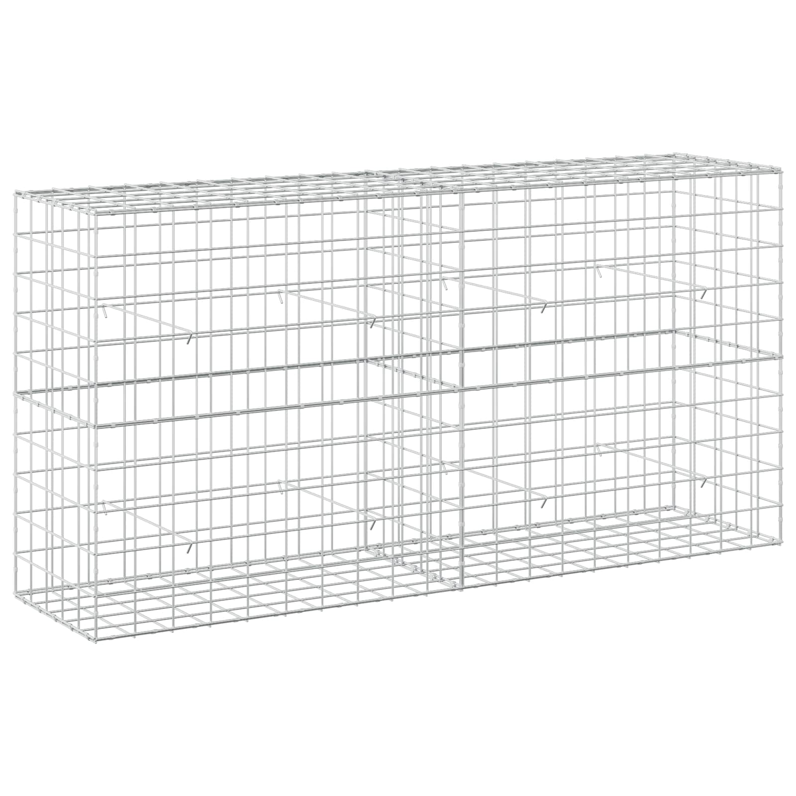 Gabion z žico 5 mm in mrežo 10x10 cm 200x50x100 cm