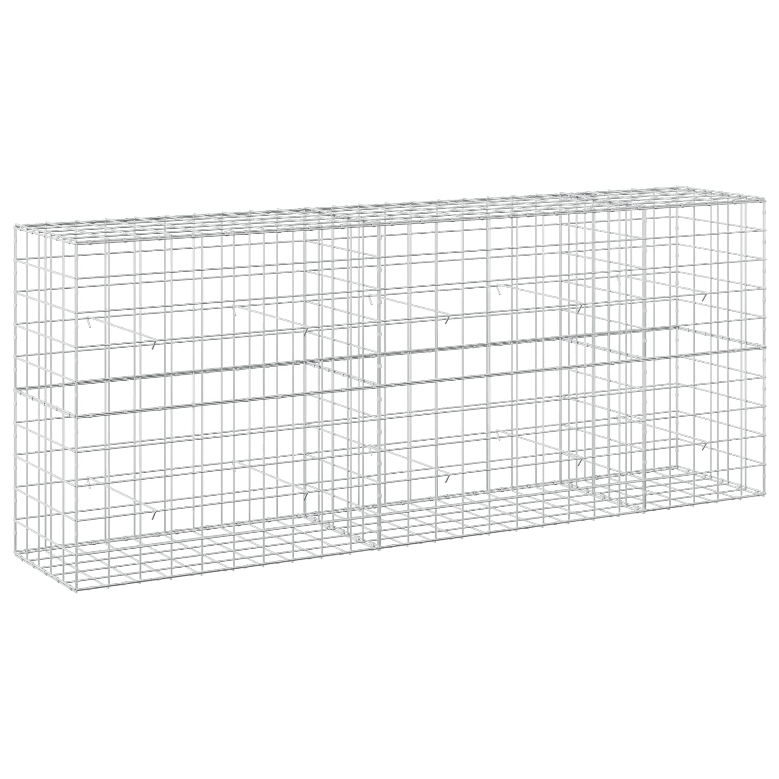 Gabion z žico 5 mm in mrežo 10x10 cm 250x50x100 cm