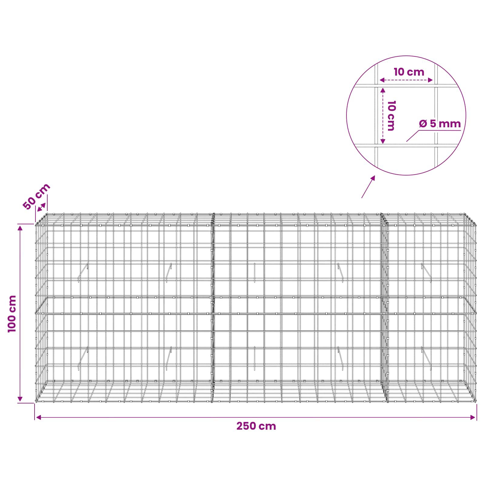 Gabion z žico 5 mm in mrežo 10x10 cm 250x50x100 cm