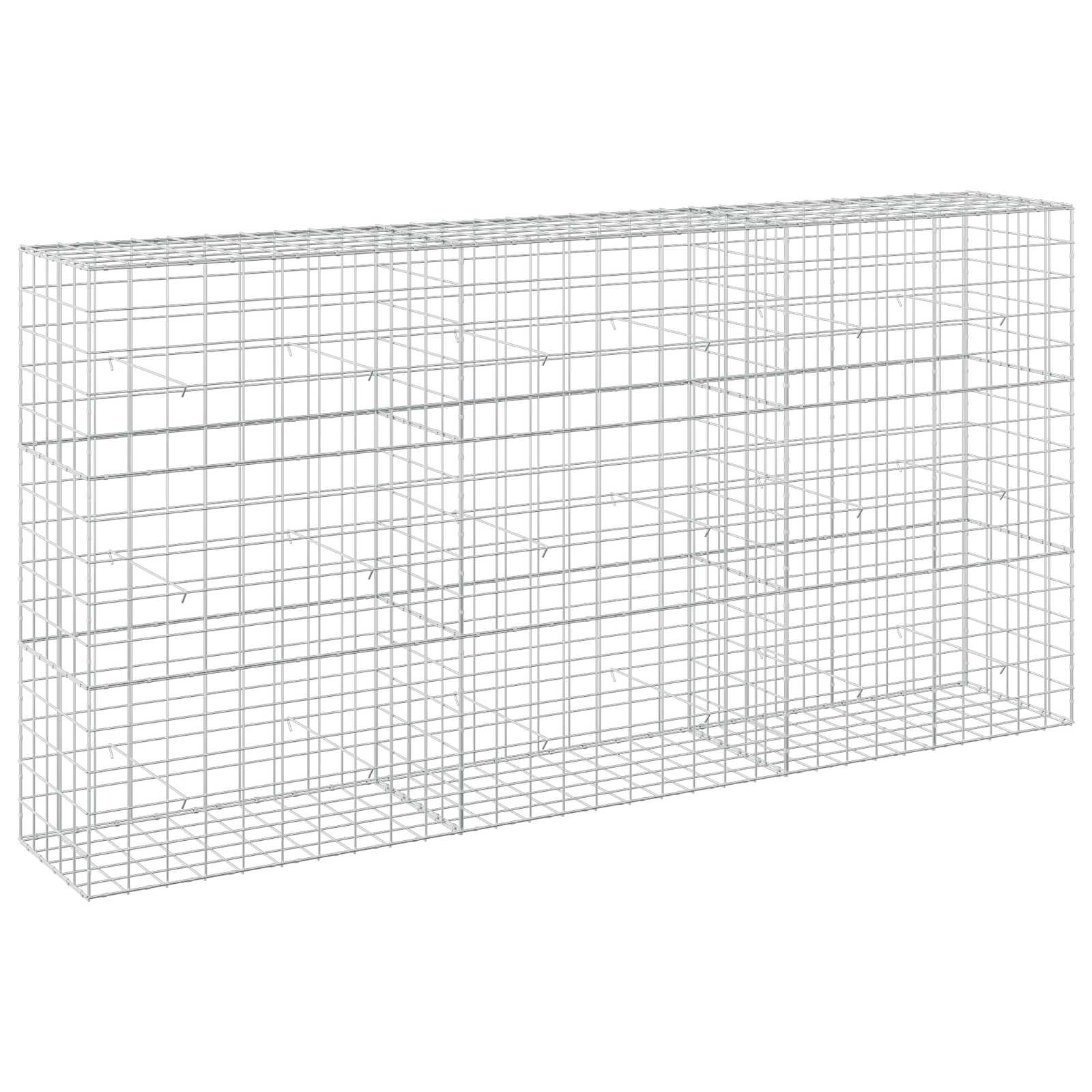 Gabion z žico 5 mm in mrežo 10x10 cm 300x50x150 cm