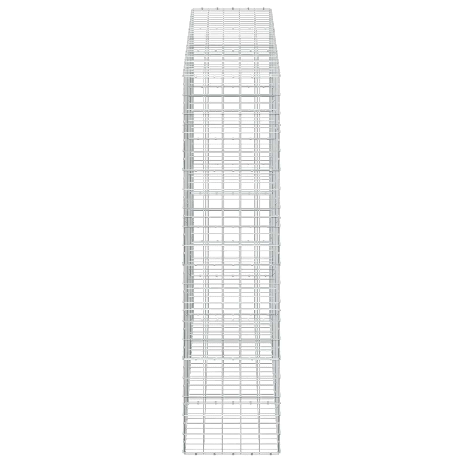 Gabion z žico 5 mm in mrežo 10x10 cm 300x50x200 cm