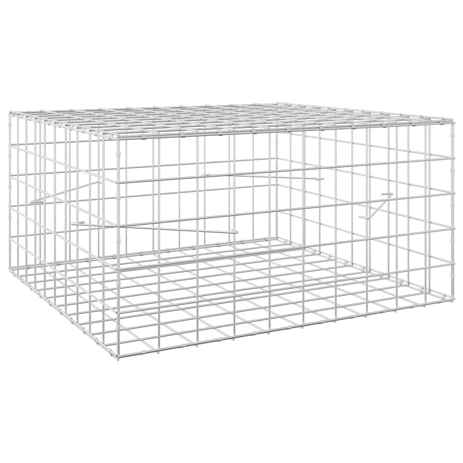 Gabion z žico 5 mm in mrežo 10x10 cm 100x100x50 cm