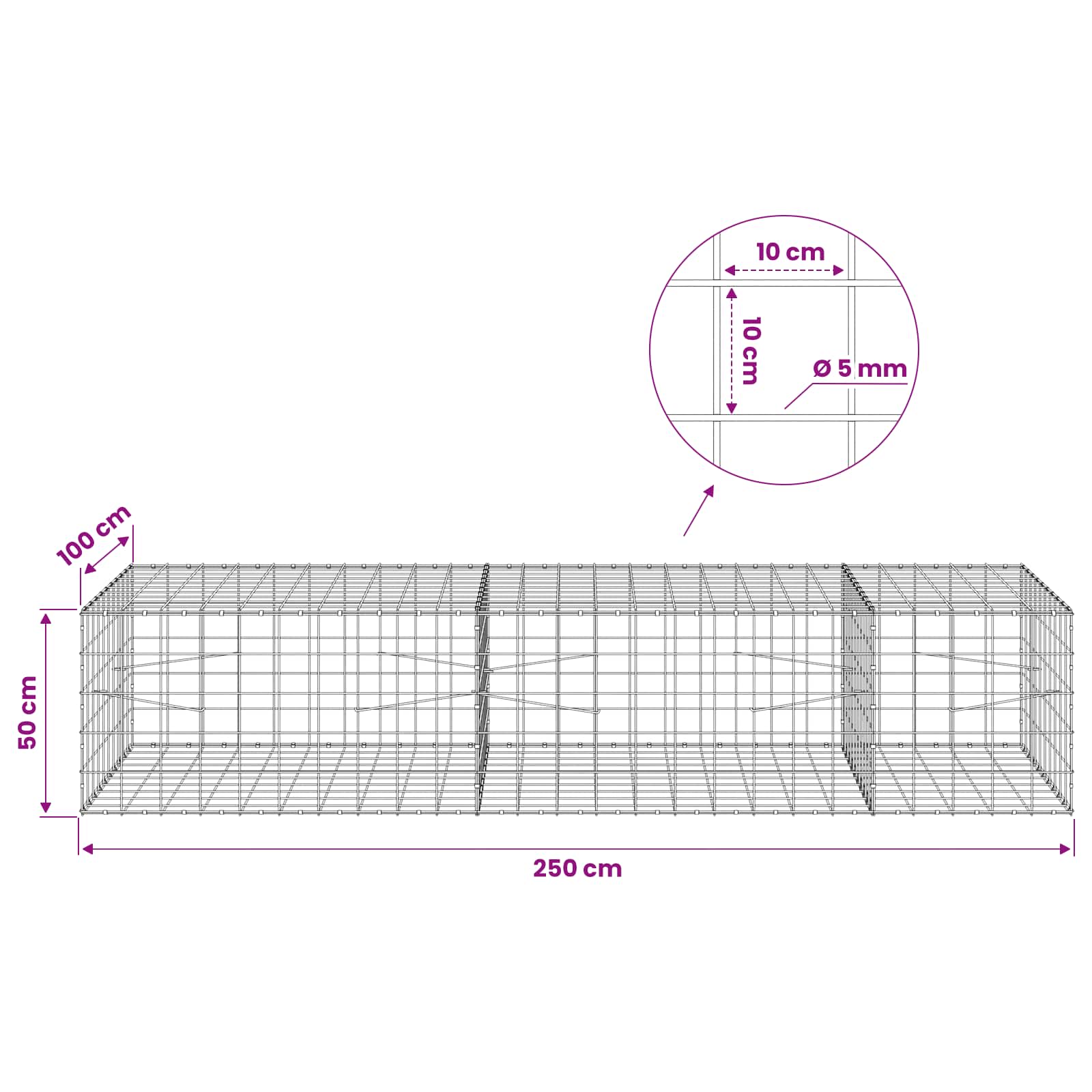 Gabion z žico 5 mm in mrežo 10x10 cm 250x100x50 cm