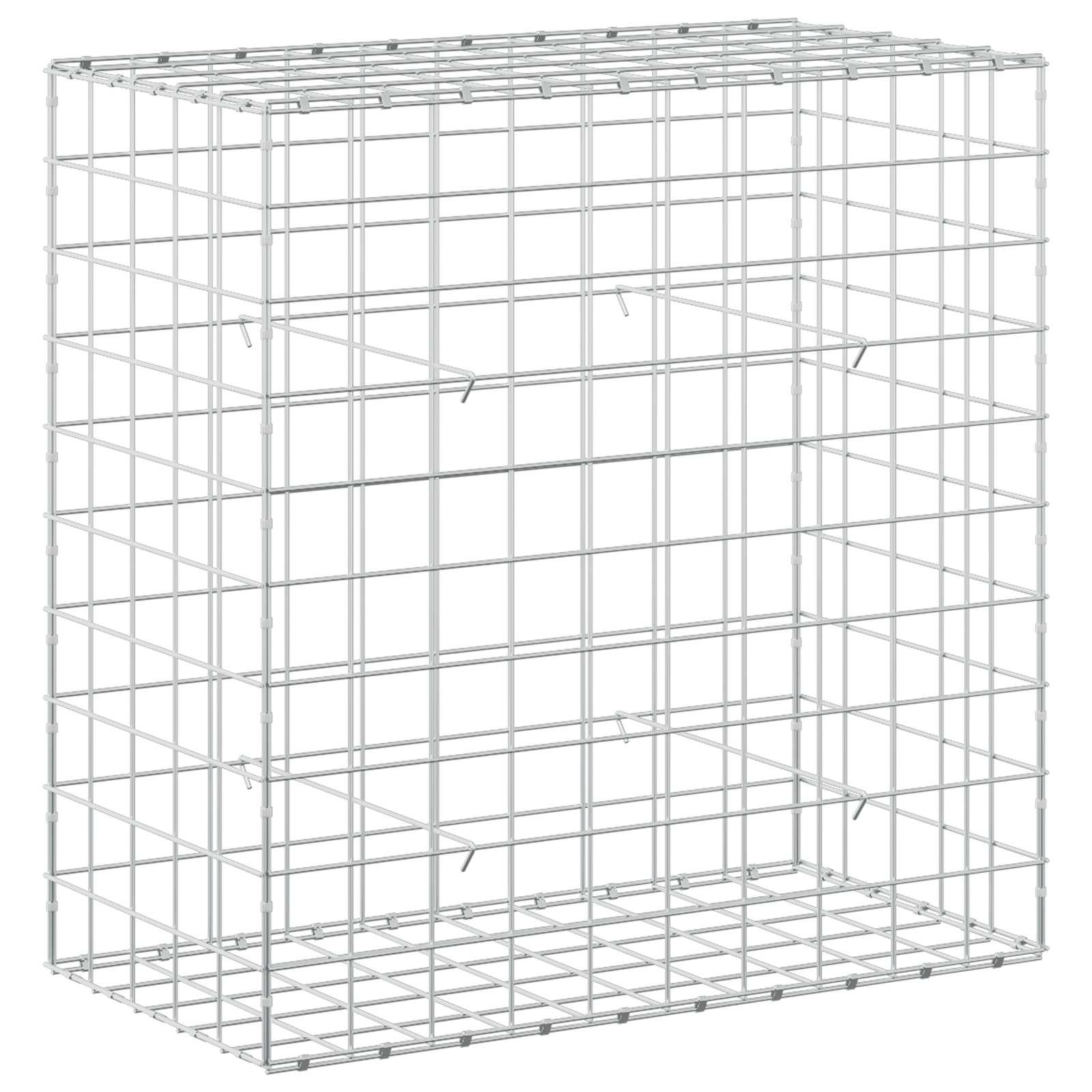 Gabion z žico 5 mm in mrežo 10x10 cm 50x100x100 cm