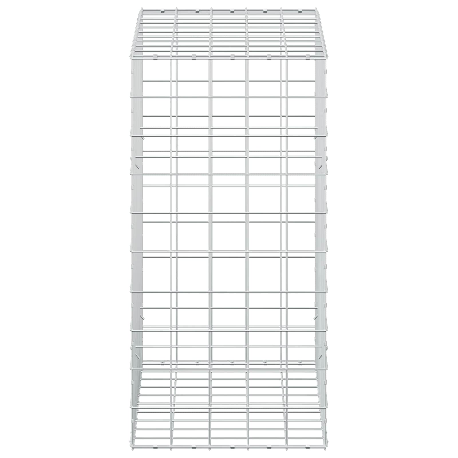 Gabion z žico 5 mm in mrežo 10x10 cm 50x100x100 cm