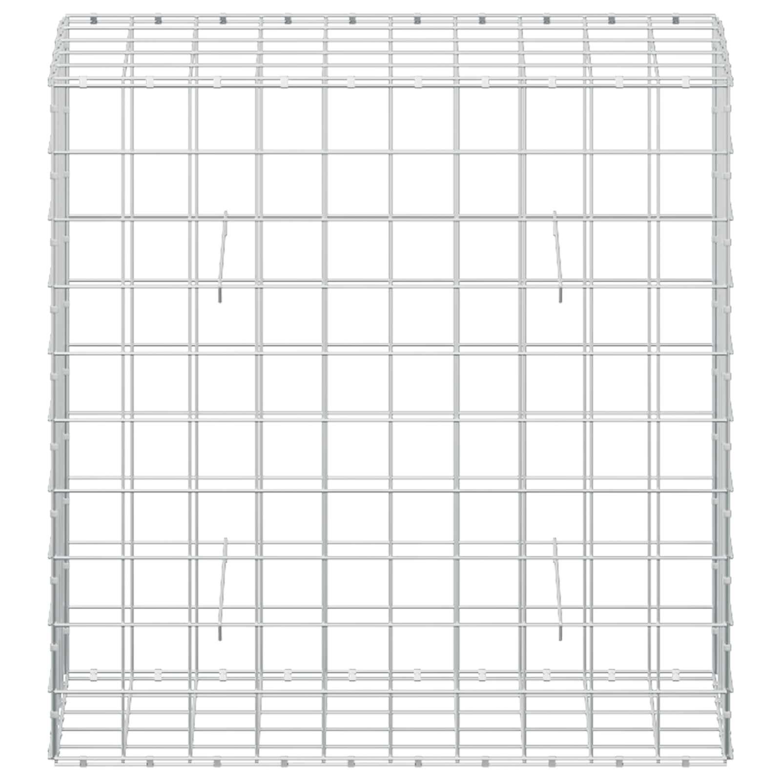 Gabion z žico 5 mm in mrežo 10x10 cm 50x100x100 cm