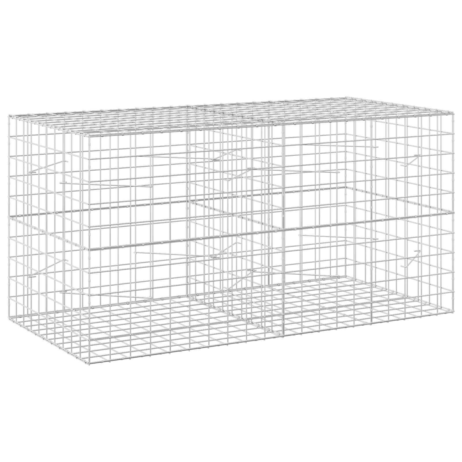 Gabion z žico 5 mm in mrežo 10x10 cm 200x100x100 cm