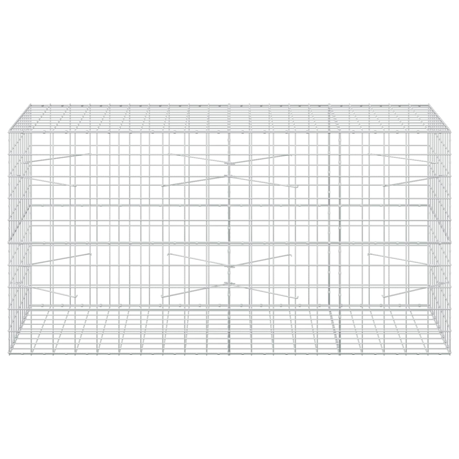 Gabion z žico 5 mm in mrežo 10x10 cm 200x100x100 cm