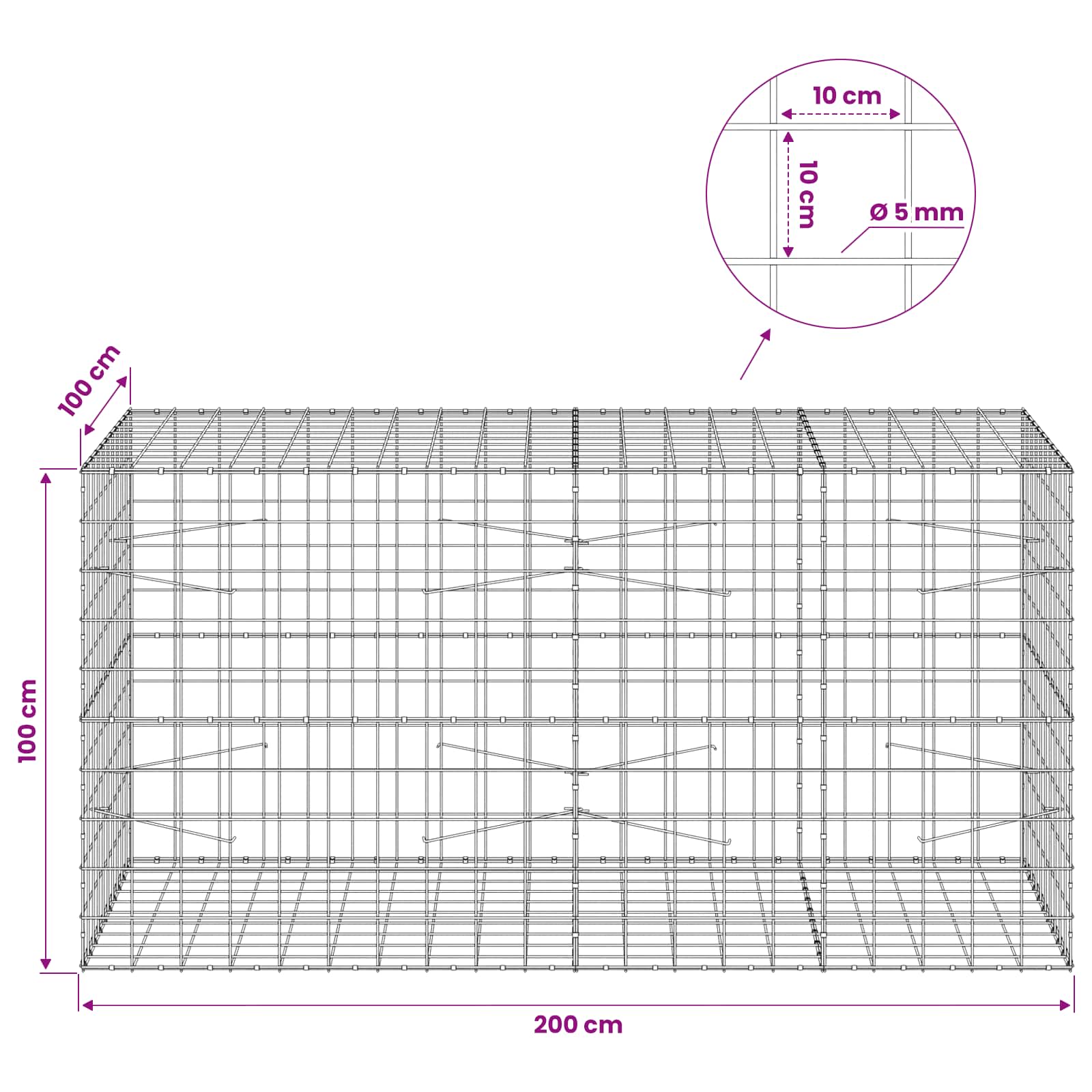 Gabion z žico 5 mm in mrežo 10x10 cm 200x100x100 cm