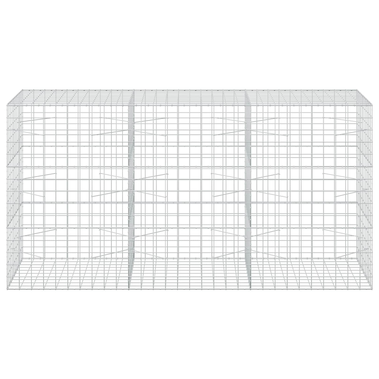 Gabion z žico 5 mm in mrežo 10x10 cm 300x100x150 cm