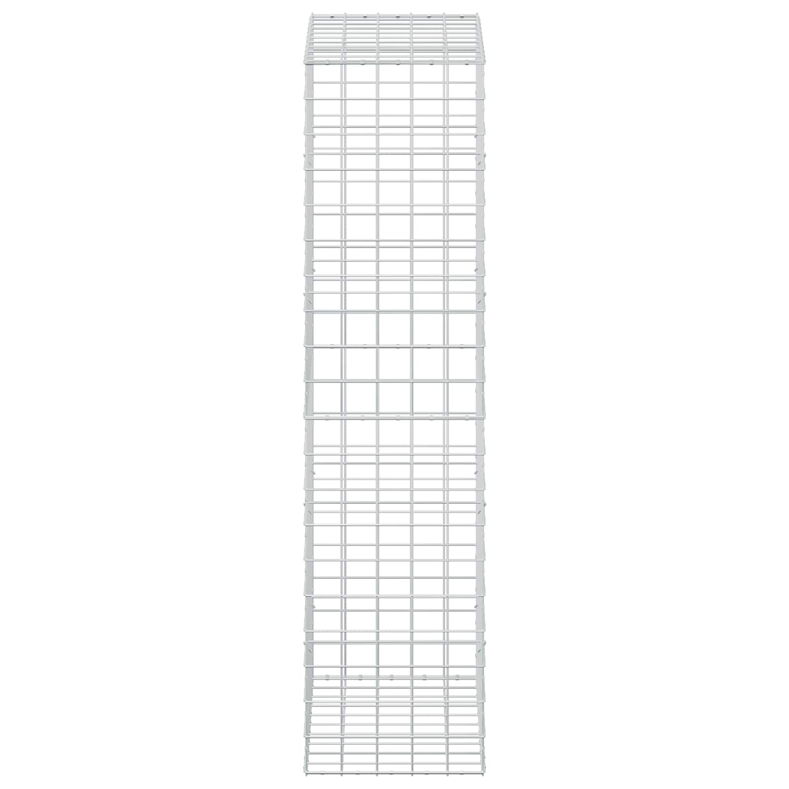 Gabion z žico 5 mm in mrežo 10x10 cm 50x100x200 cm