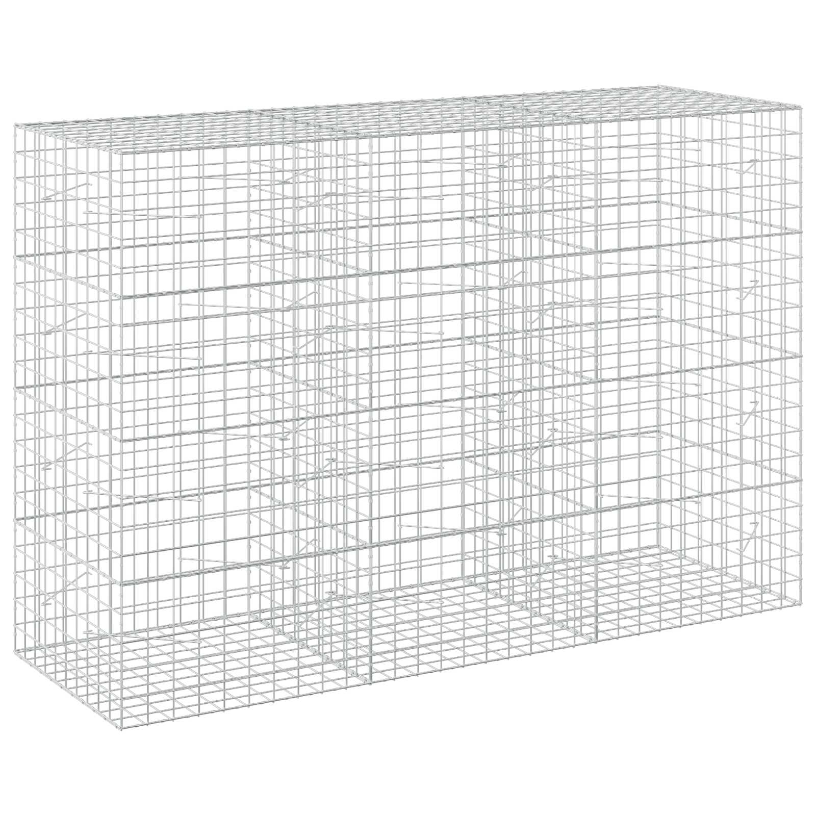 Gabion z žico 5 mm in mrežo 10x10 cm 300x100x200 cm