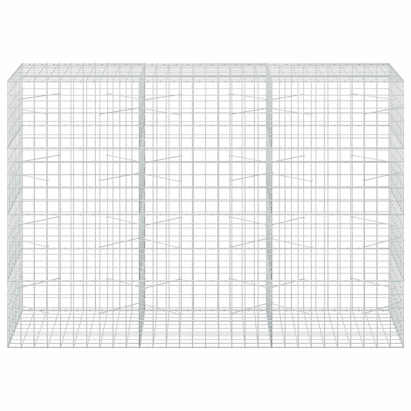 Gabion z žico 5 mm in mrežo 10x10 cm 300x100x200 cm