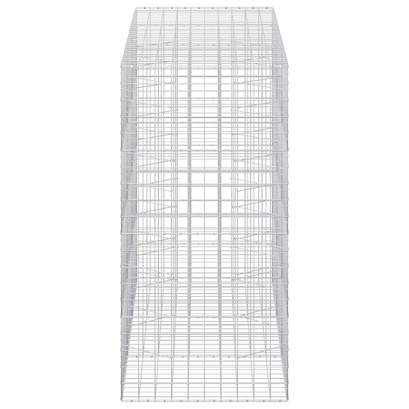 Gabion z žico 5 mm in mrežo 10x10 cm 300x100x200 cm