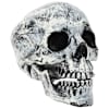 vidaXL Halloweeni pealuu SPOOKA 2 tk Valge 12 x 15 x 17,5 cm Plastmass