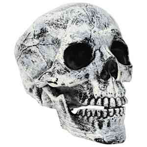 vidaXL Halloweeni pealuu SPOOKA 2 tk Valge 12 x 15 x 17,5 cm Plastmass