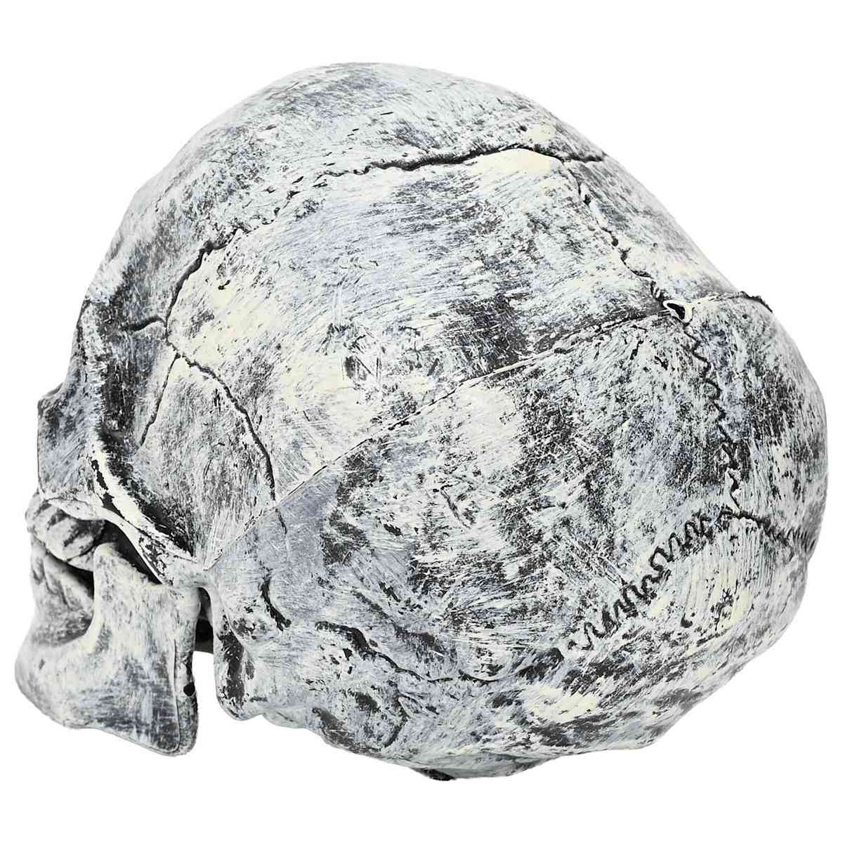 Halloween-kranium SPOOKA 2 stk. Hvid 12 x 15 x 17.5 cm Plastik - Billede 5