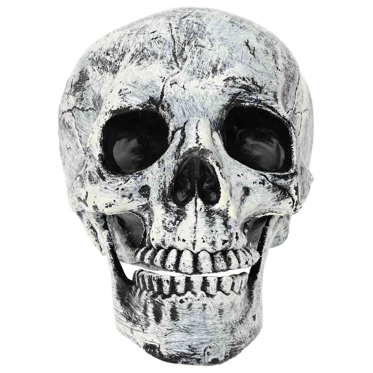 Halloween-kranium SPOOKA 2 stk. Hvid 12 x 15 x 17.5 cm Plastik - Billede 3