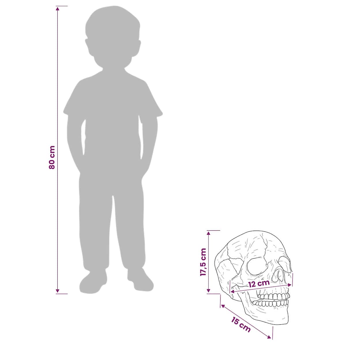 Halloween-kranium SPOOKA 2 stk. Hvid 12 x 15 x 17.5 cm Plastik - Billede 8