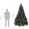 Toote pisipilt  12 / 12
