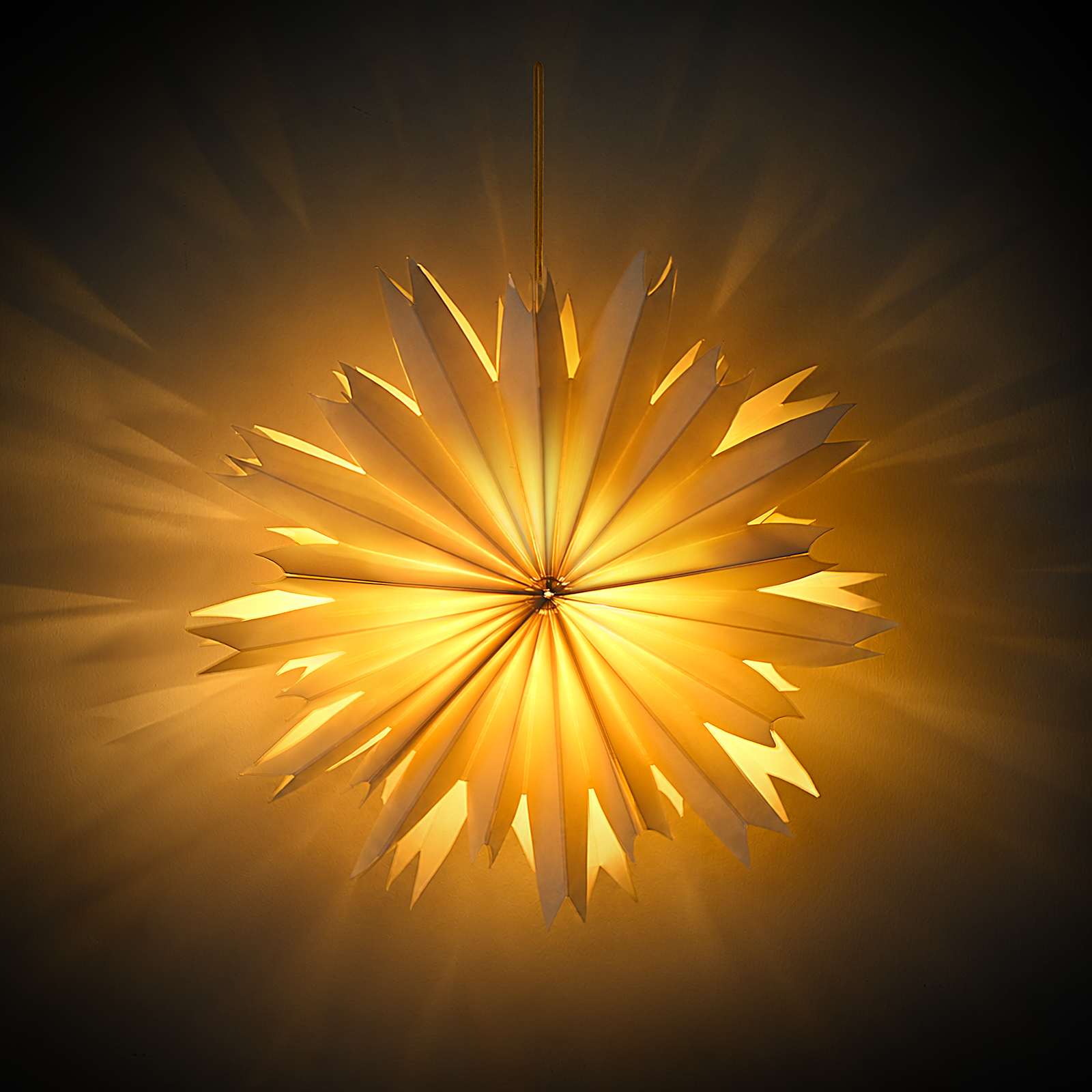 Jõulutulek RAAHE 10 LED-i Soe valge 60 x 20 x 60 cm 4 Kõik vajalik sinu aeda ja koju! Jõulutulek RAAHE 10 LED-i Soe valge 60 x 20 x 60 cm - Pilt 4