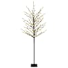 vidaXL LED-pallidega j&otilde;ulupuu Must 18 x 18 x 150 cm Teras 185 LED-i