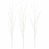 White_warm_white