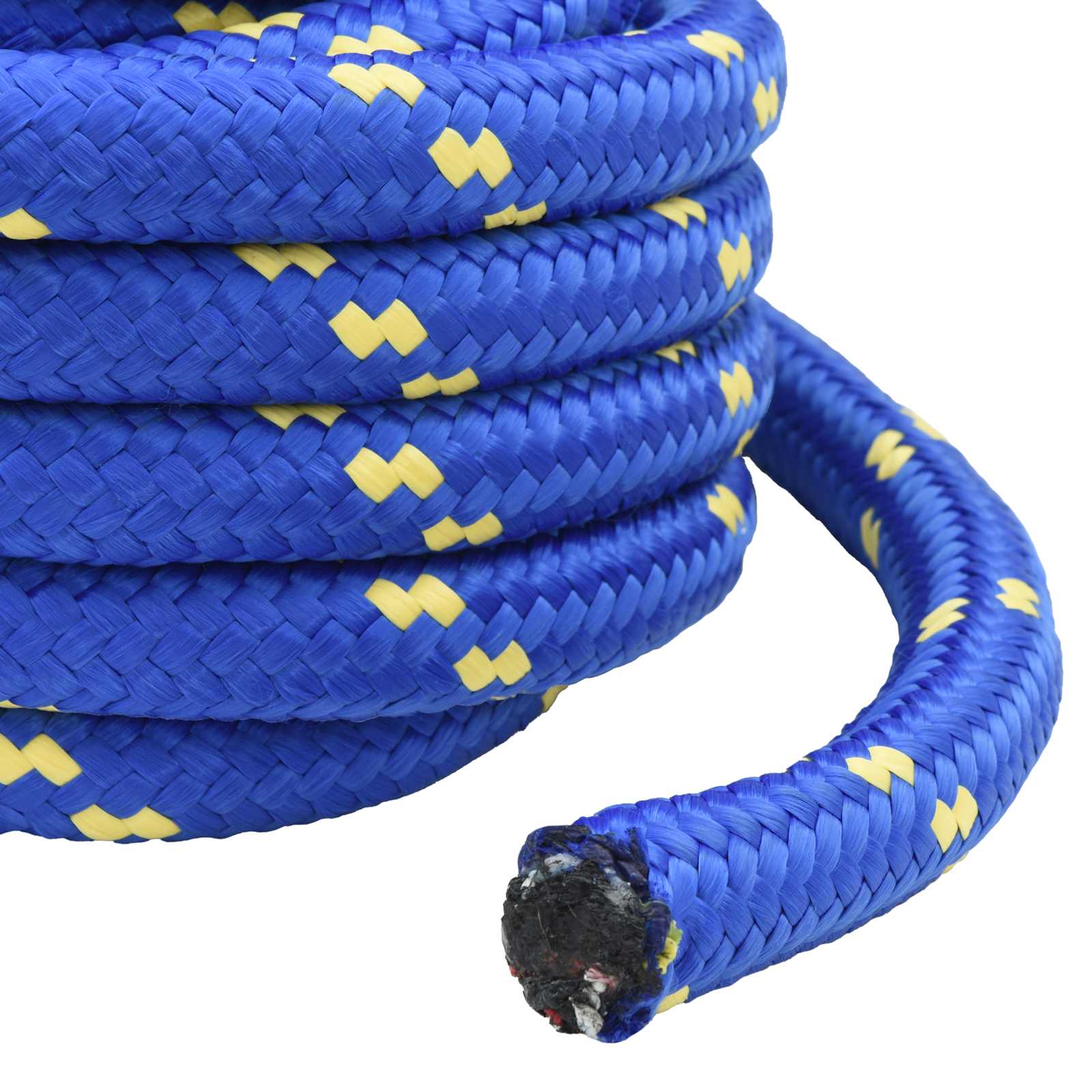 Večnamenska uporabna vrv 40 mm 5 m Modra PP