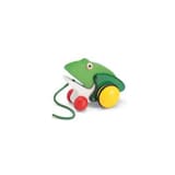 Pintoy Trekfiguur Kikker