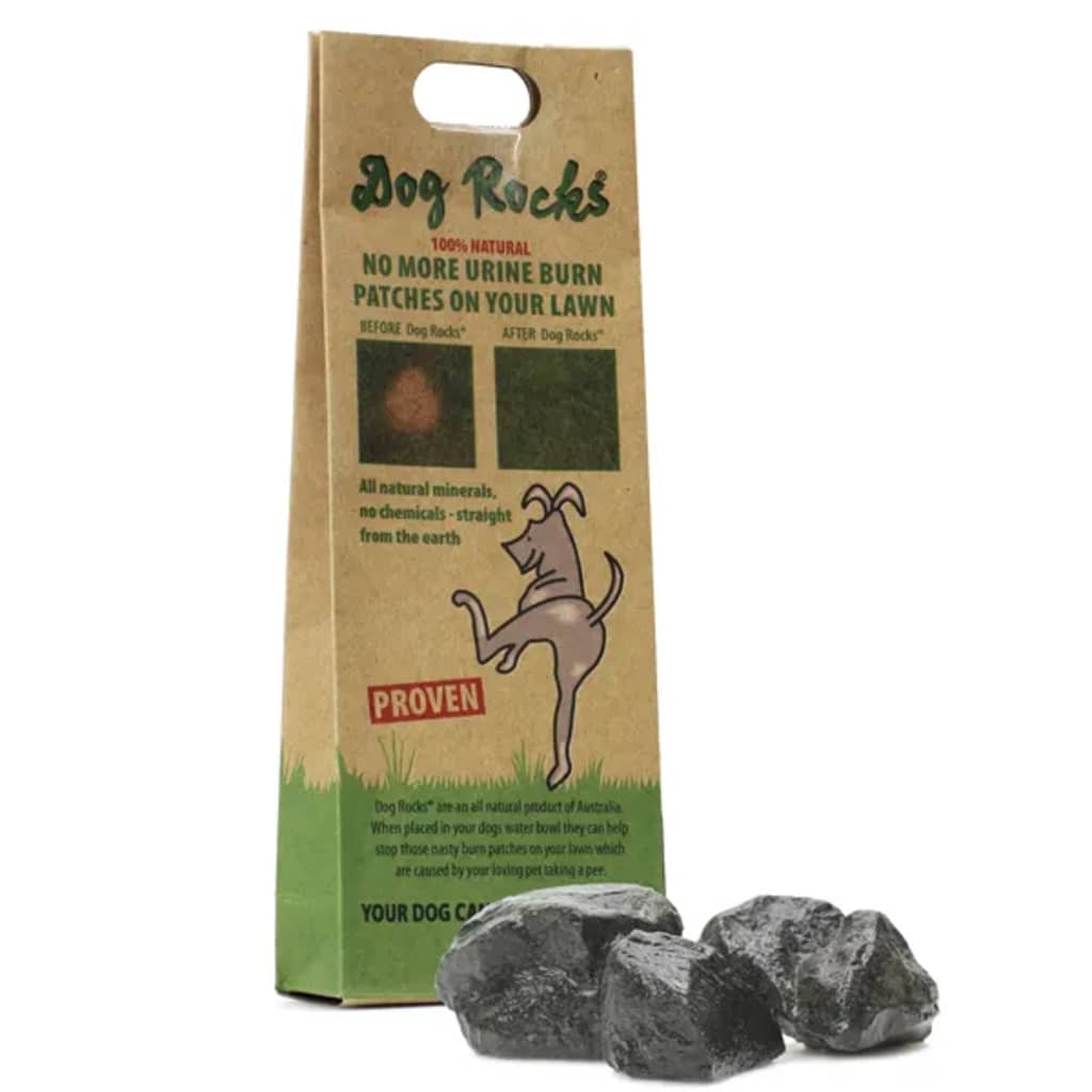 Dog rocks