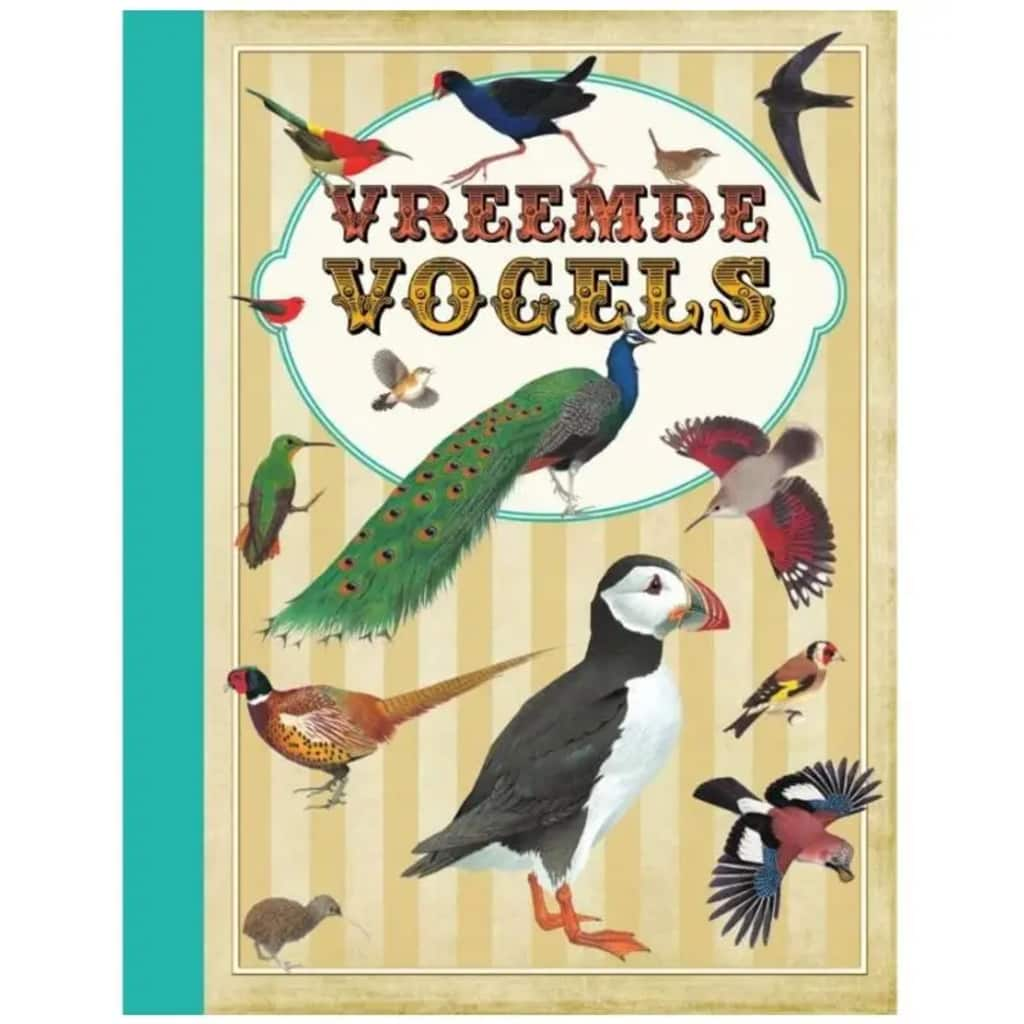 Memphis Belle boek Vreemde vogels