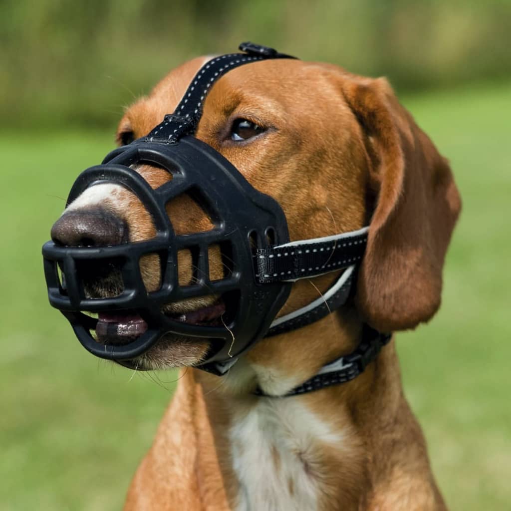 Acheter TRIXIE Muselière pour chiens Flex Taille XL pas cher vidaXL.fr