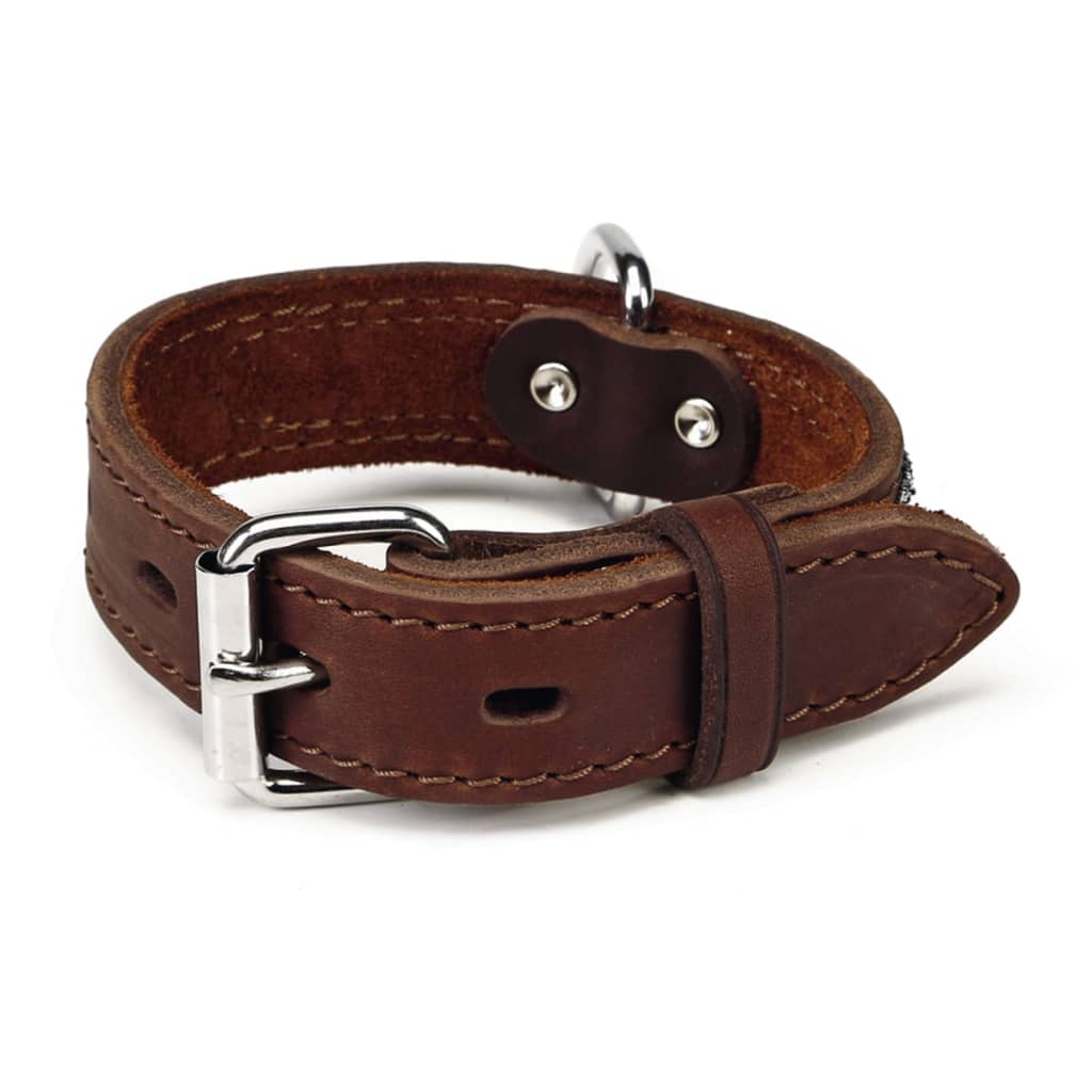 Pet Channel Dog Collars Pet Channel Dog Collars
