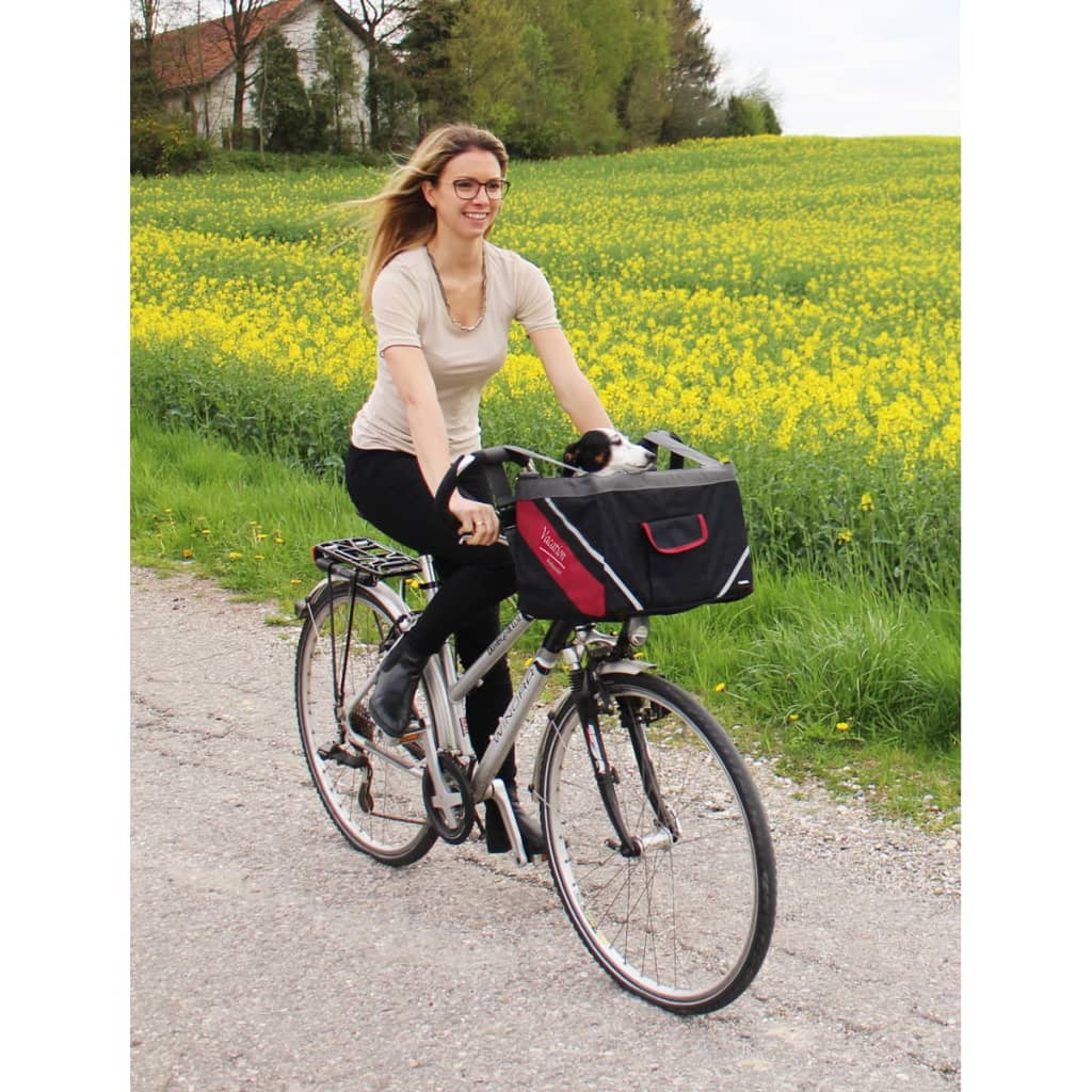 cestino porta cane per bicicletta manubrio